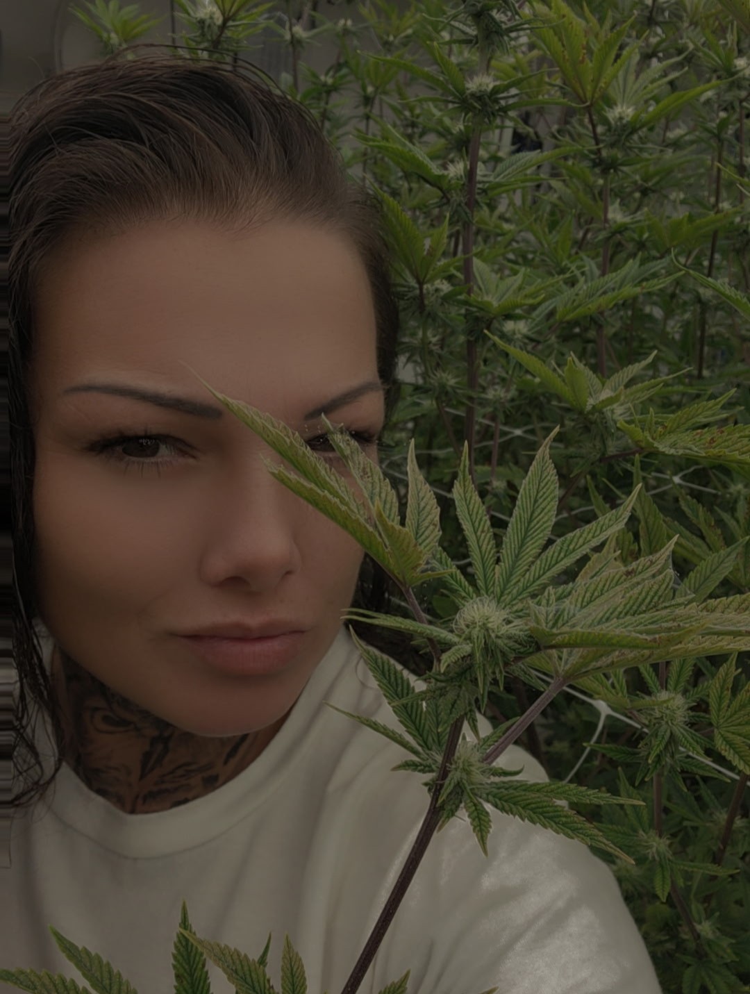 Example finished trim work