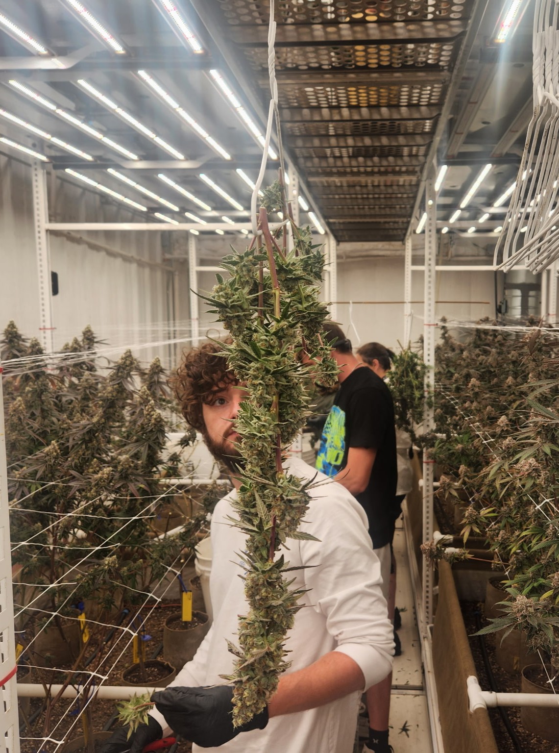 Example finished trim work