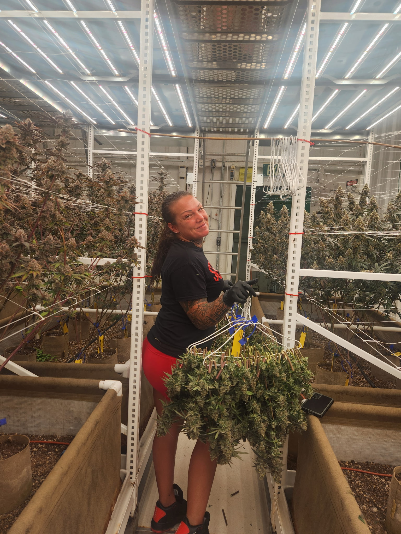 Example finished trim work