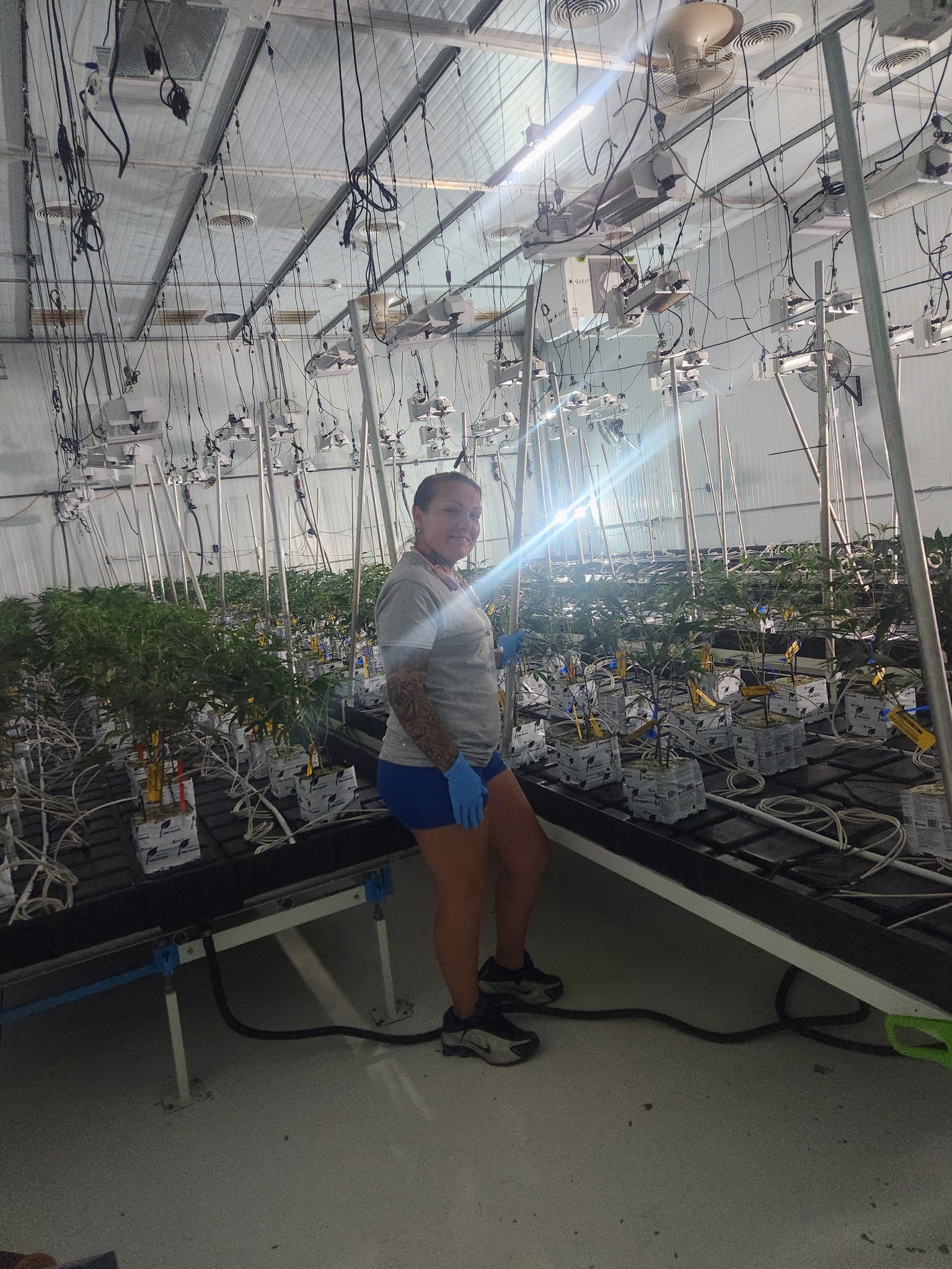 Example finished trim work