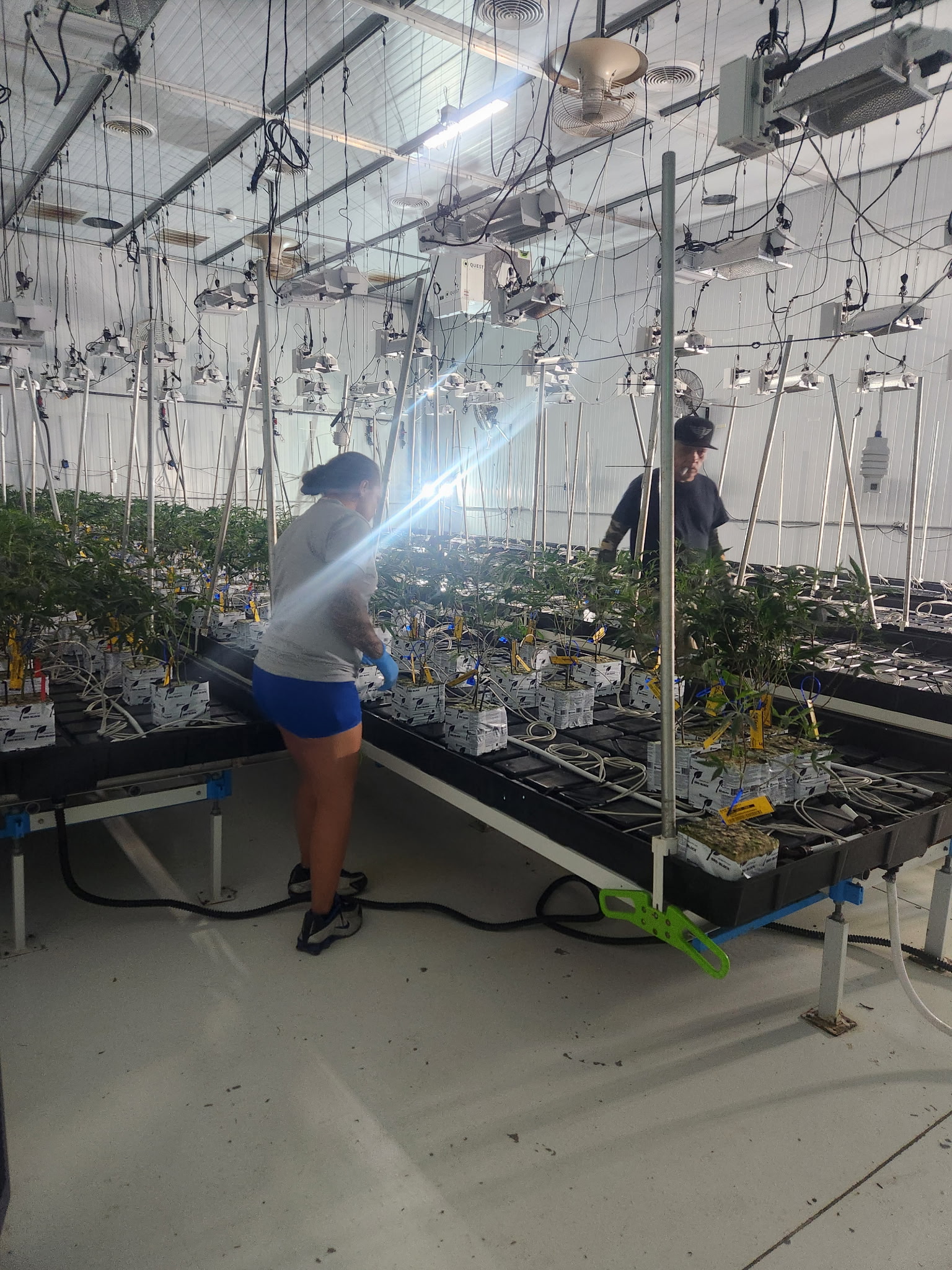 Example finished trim work