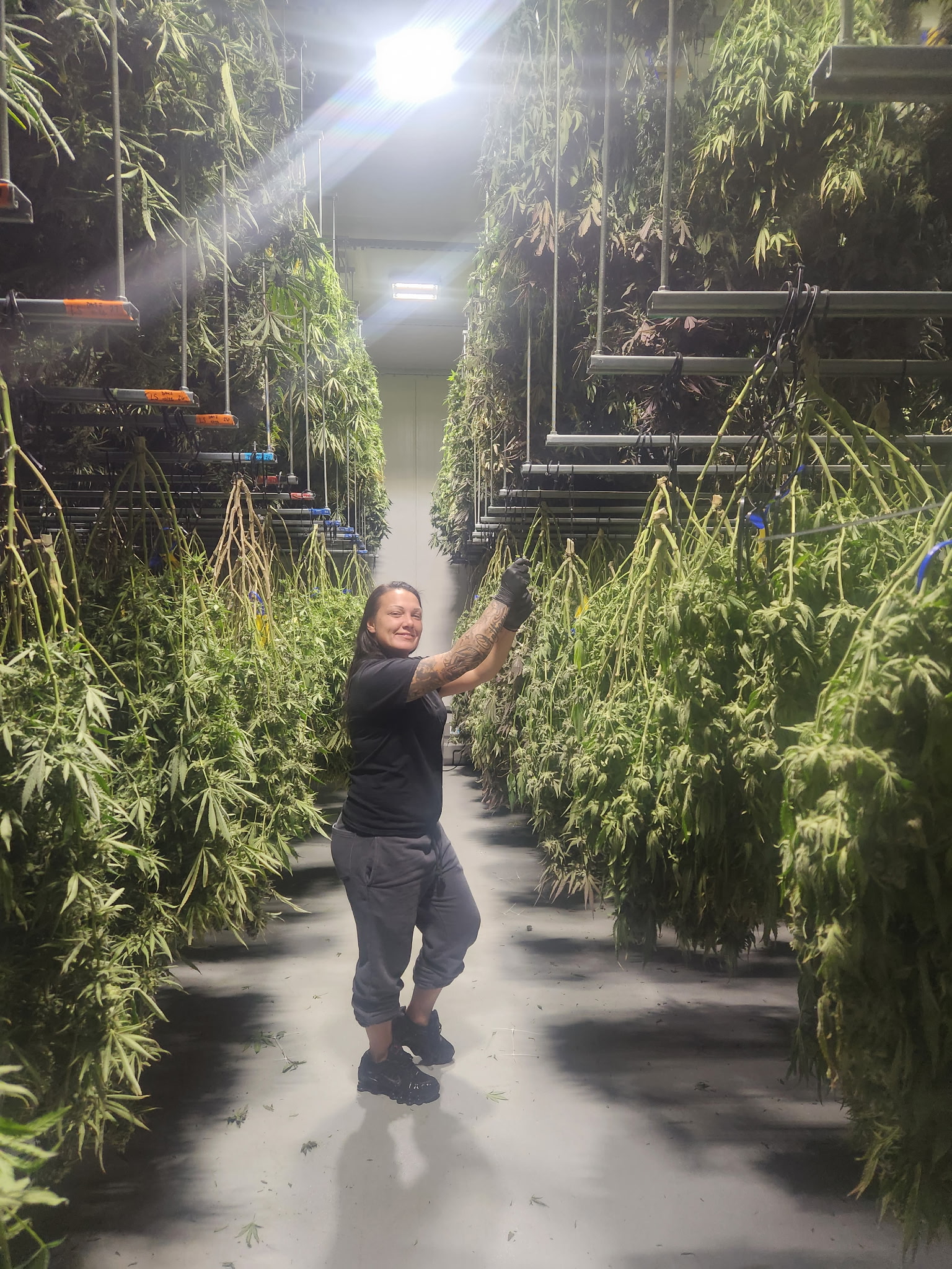 Example finished trim work