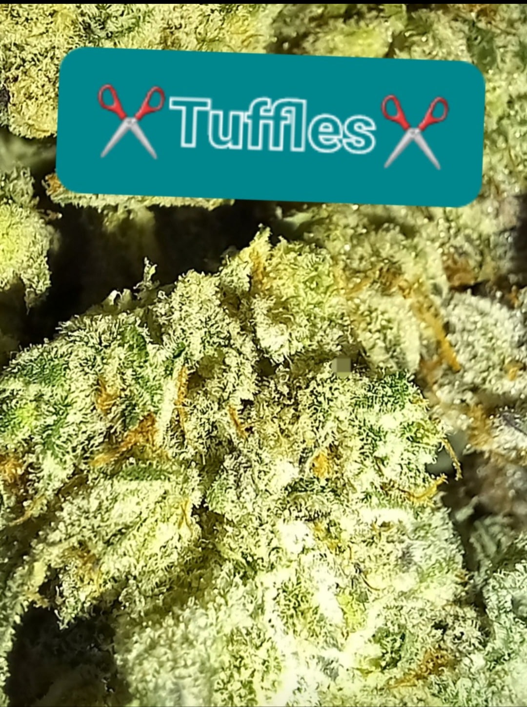 Example finished trim work