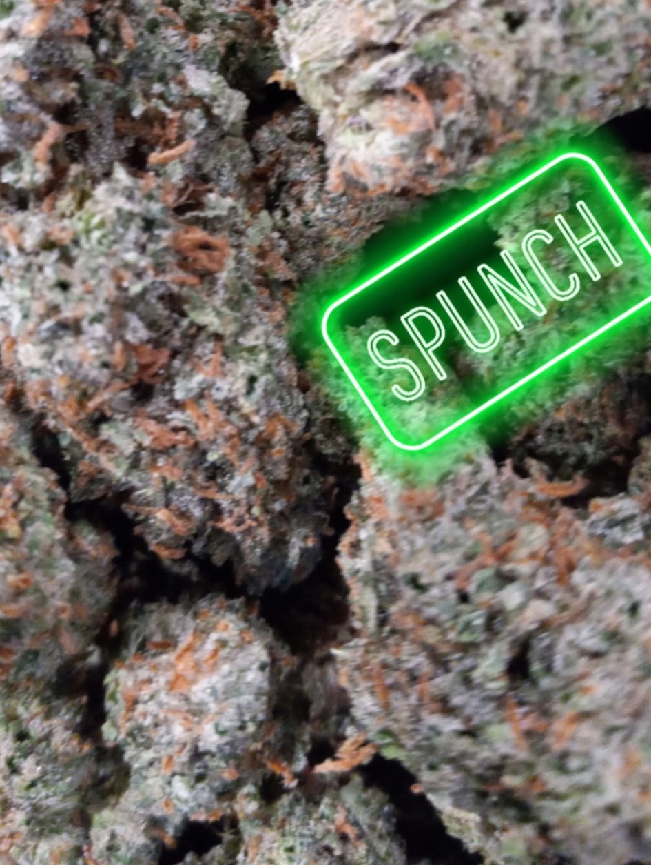 Example finished trim work