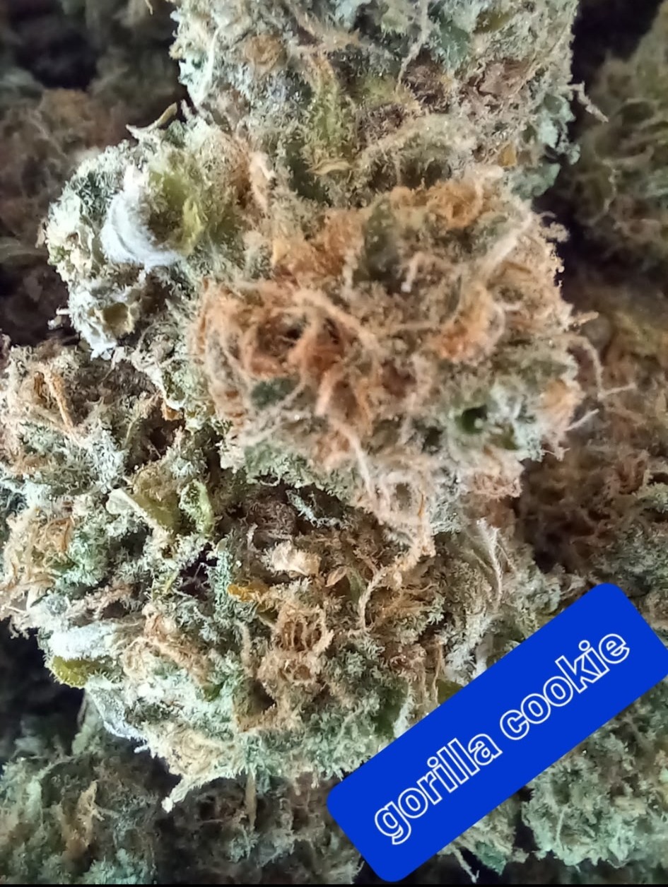 Example finished trim work