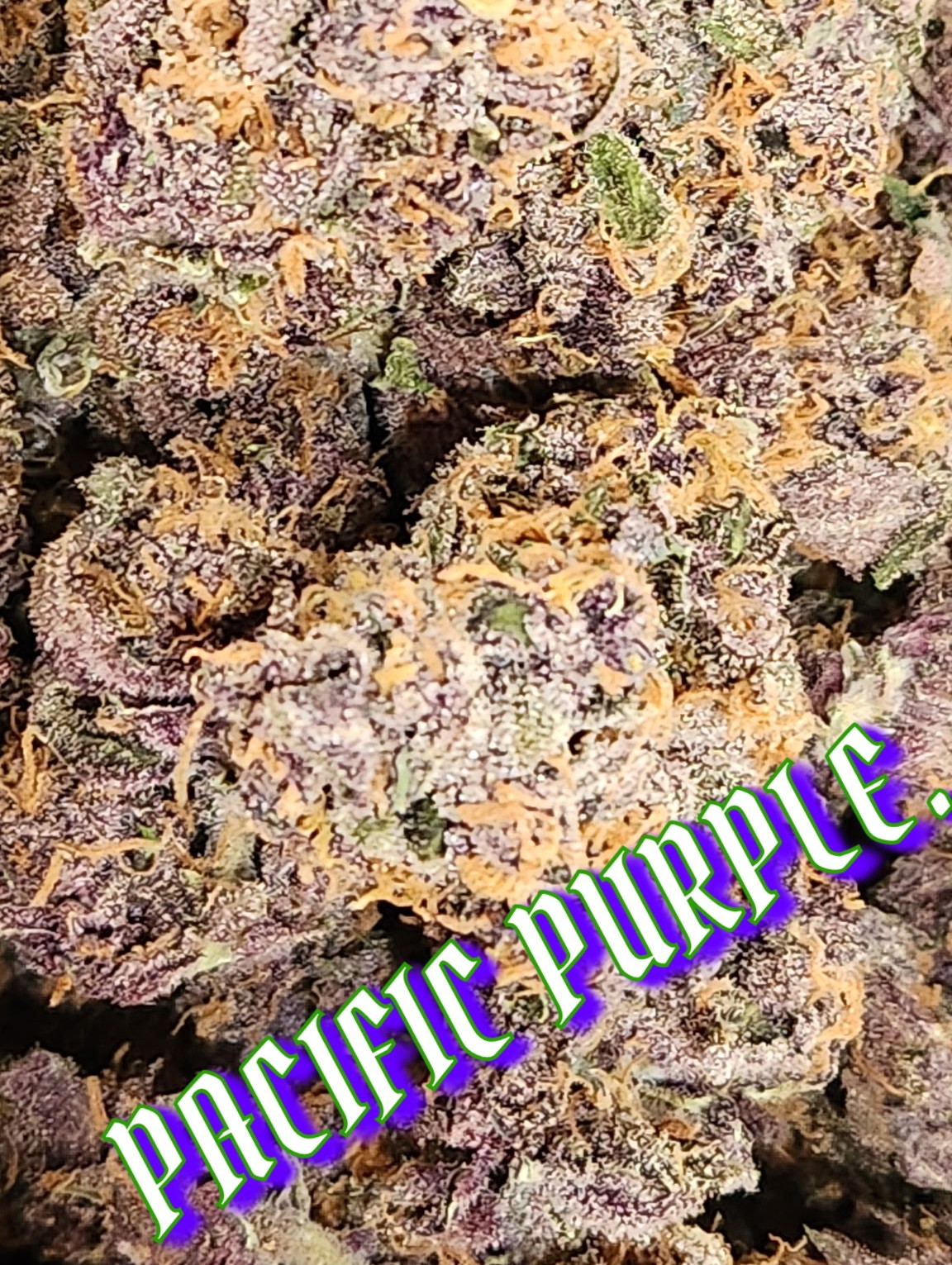 Example finished trim work